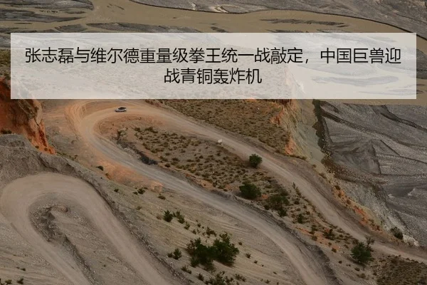 张志磊与维尔德重量级拳王统一战敲定，中国巨兽迎战青铜轰炸机