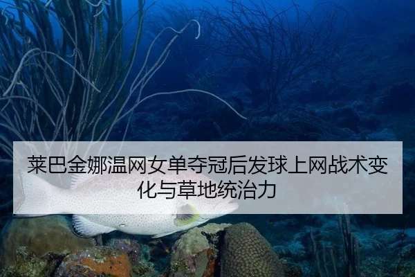 莱巴金娜温网女单夺冠后发球上网战术变化与草地统治力